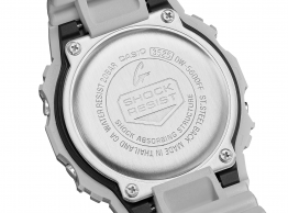 DW-5600FF-8ER