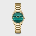 Feroce Mini CW11702