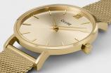 Minuit CW10208