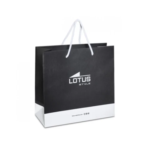 Naušnice LS2417-4/1