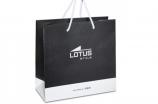 Naušnice LS2420-4/1
