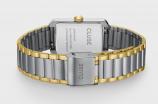 Belisenna CW15003