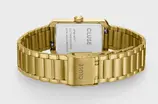 Belisenna CW15004
