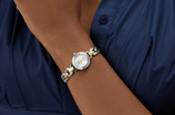 Siren GW1019L3