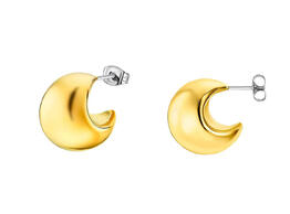 Lotus - Naušnice LS2430-4/2